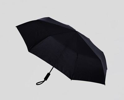 Зонт Xiaomi Empty Valley Automatic Umbrella WD1 AQZD1