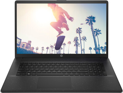Ноутбук HP 17-cp0107ur (AMD Athlon 3020e 1200MHz/17.3"/1600x900/8GB/256GB SSD/AMD Radeon Graphics/Windows 10 Home) Черный 4E2J8EA
