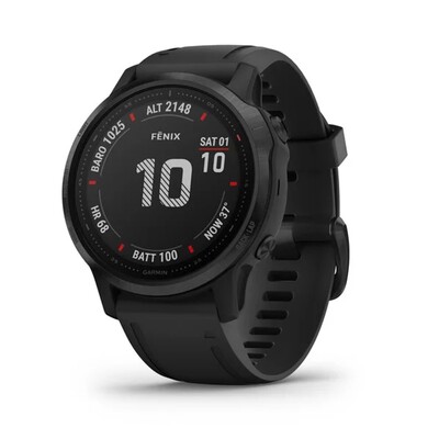 Часы Garmin Fenix 6S Pro Black 010-02159-14