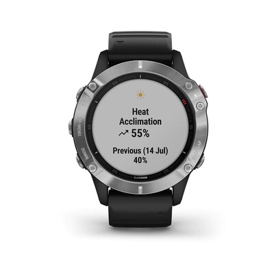 Часы Garmin Fenix 6 Silver / Black 010-02158-00 фото 3