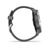 Часы Garmin Vivoactive 4 Wi-Fi NFC Silver 010-02174-04 фото 8