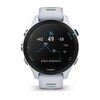 Часы Garmin Forerunner 255S Music Whitestone 010-02641-33 фото 6