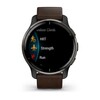 Часы Garmin Venu 2 Plus Black Brown 010-02496-15 фото 6